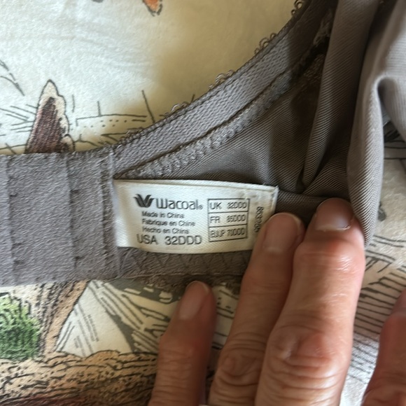Wacoal Bra - Picture 4 of 4